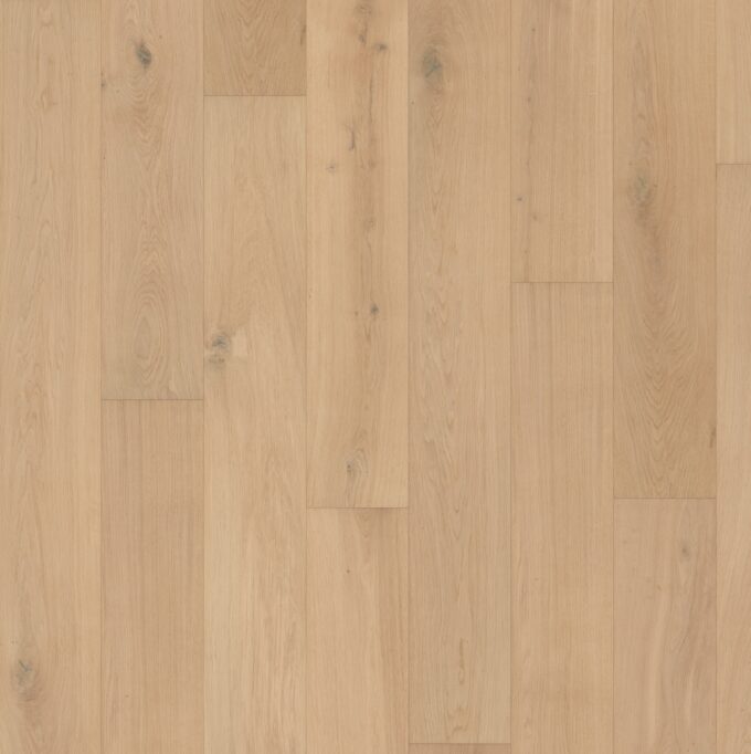 Oak Rustic Absolute